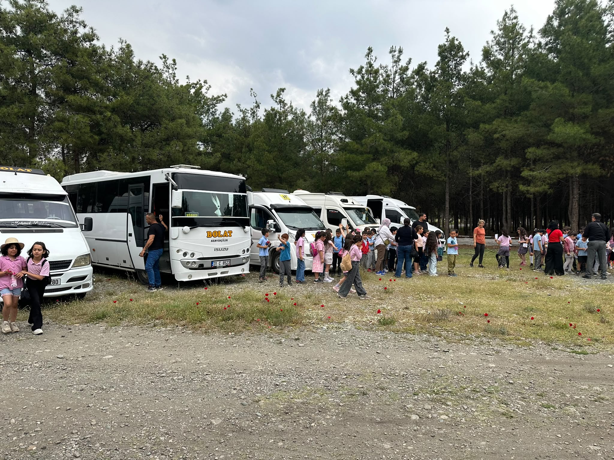 Gezi ve Tur Taşımacılığı